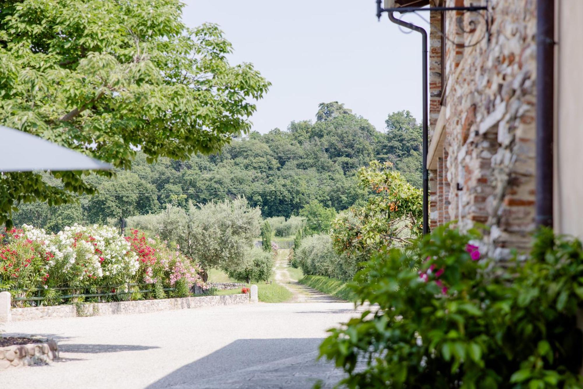 Agriturismo Sambuco Villa Pastrengo Exterior photo