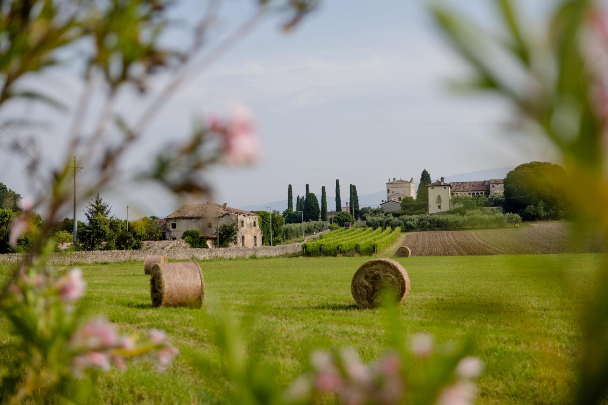 Agriturismo Sambuco Villa Pastrengo Exterior photo