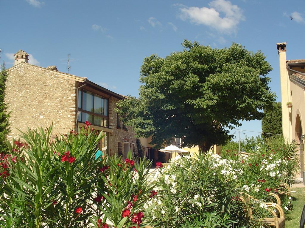 Agriturismo Sambuco Villa Pastrengo Exterior photo